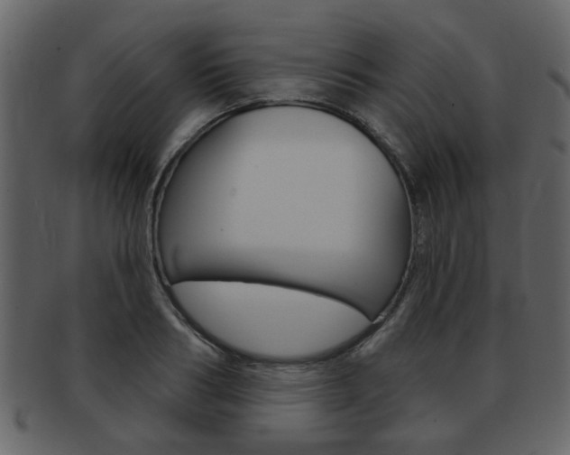 X0000093210986200709261422