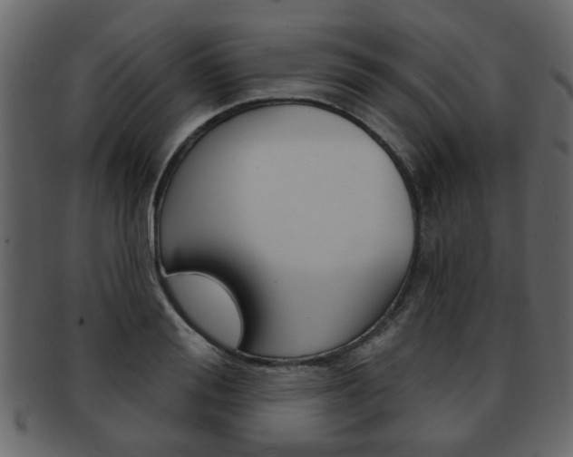 X0000093210988200709261422