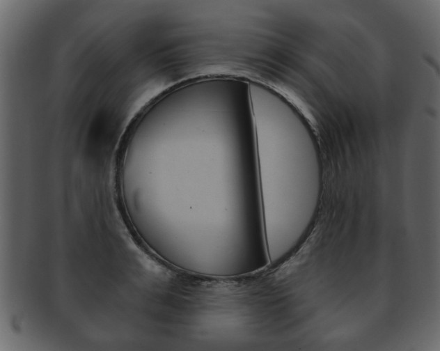 X0000093210991200709261422