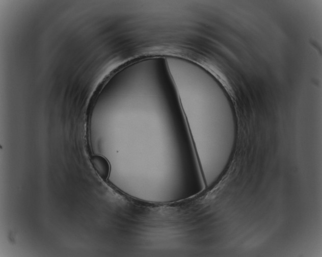 X0000093210992200709261422