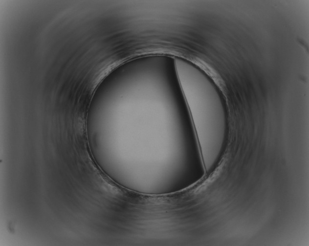 X0000093210993200709261422