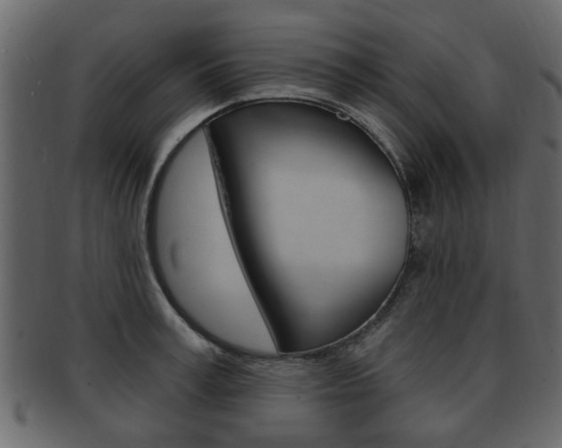 X0000093210995200709261422