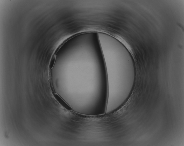 X0000093210996200709261422