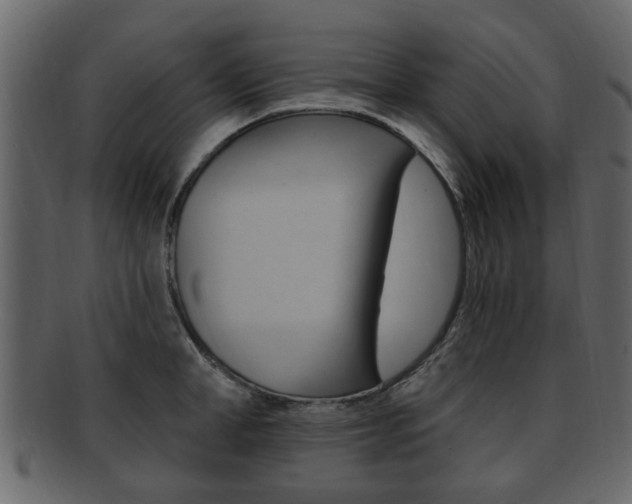 X0000093210998200709261422