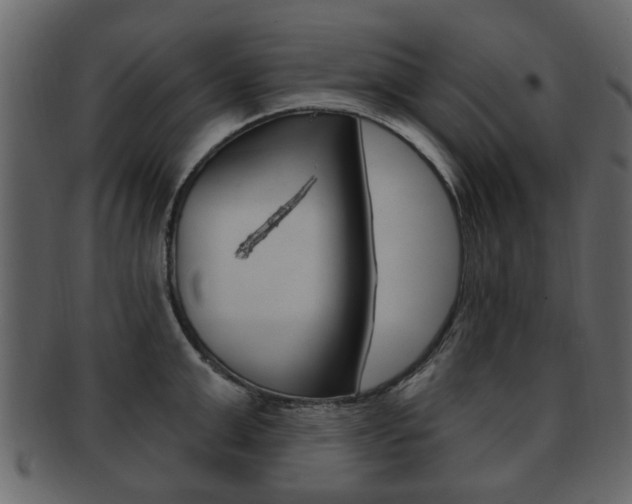 X0000093210999200709261422