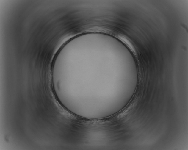 X0000093211000200709261422