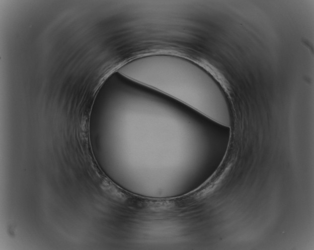 X0000093211001200709261422