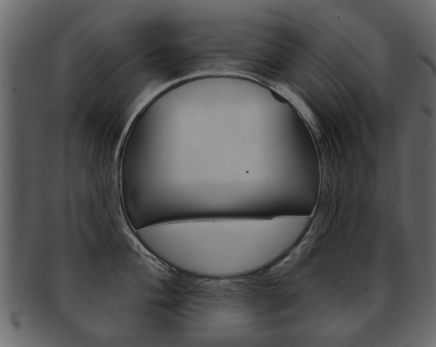 X0000093211004200709261422