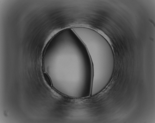 X0000093211005200709261422