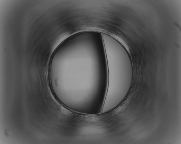 X0000093211007200709261421