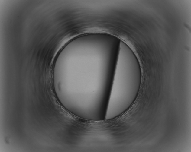 X0000093211008200709261421