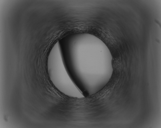 X0000093211009200709261421