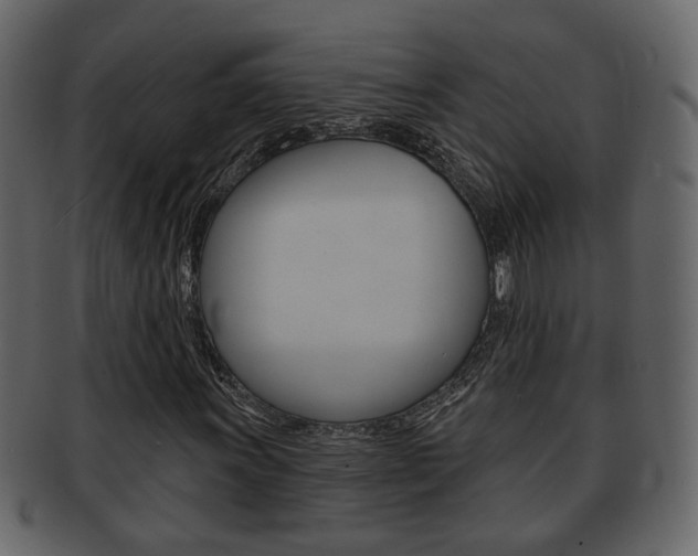 X0000093211011200709261421