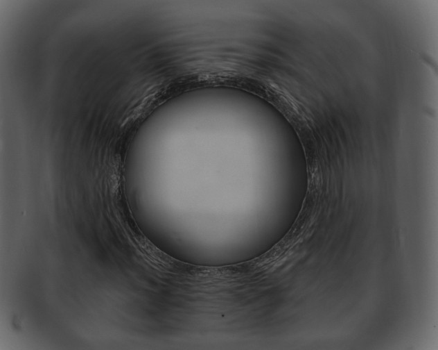 X0000093211012200709261421