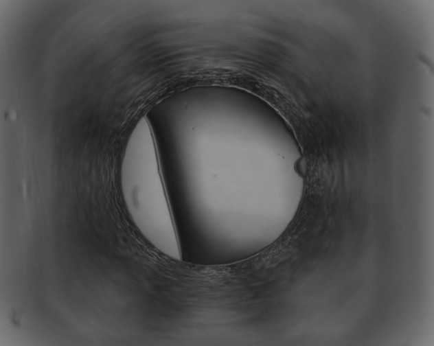 X0000093211013200709261421