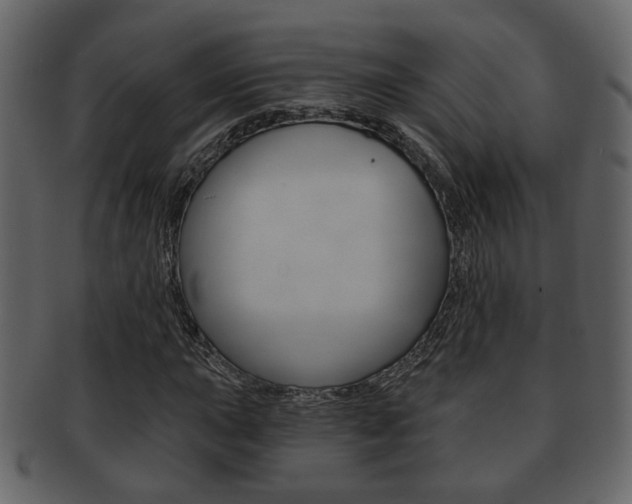 X0000093211015200709261421