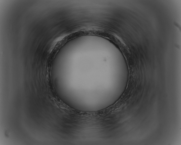 X0000093211016200709261421