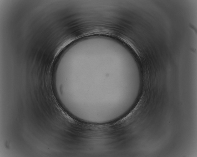 X0000093211018200709261421