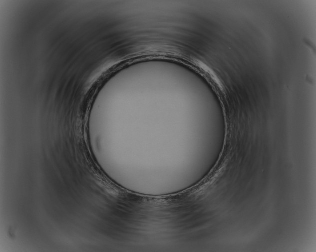 X0000093211019200709261421