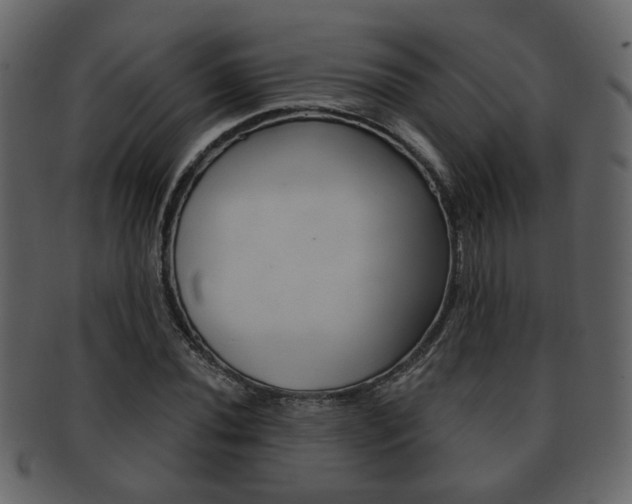 X0000093211020200709261421