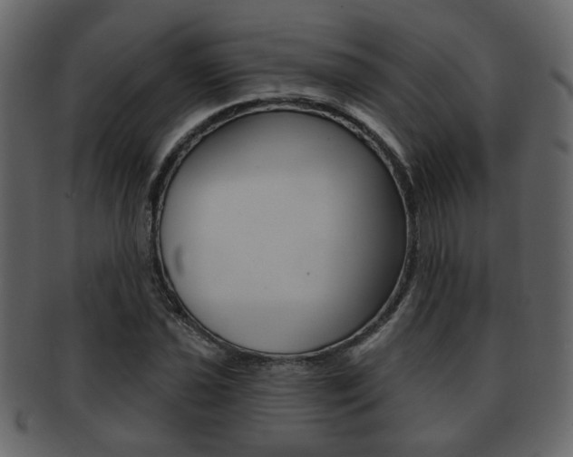 X0000093211021200709261421