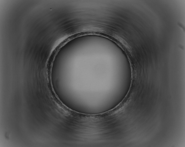 X0000093211022200709261421