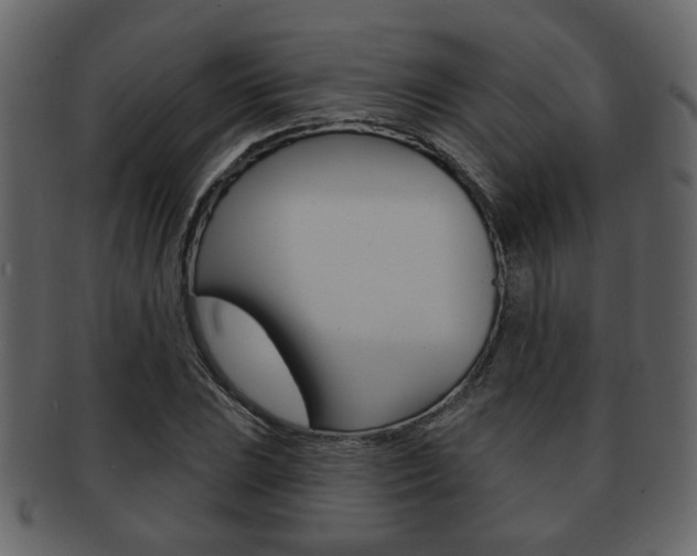 X0000093211023200709261421