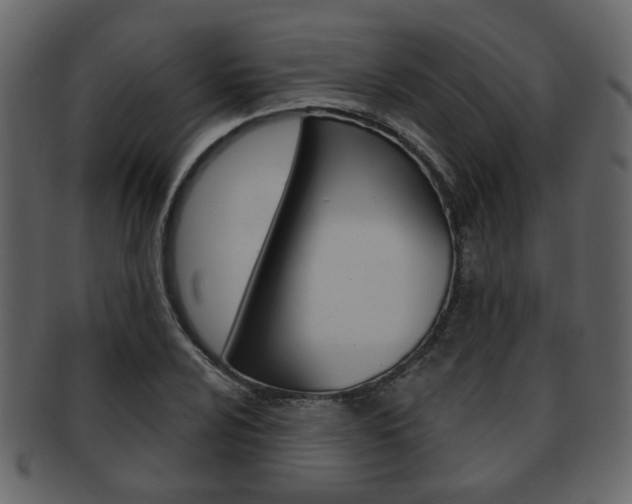 X0000093211024200709261421