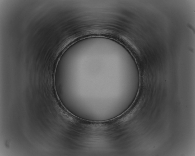 X0000093211025200709261421