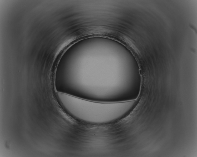 X0000093211026200709261421