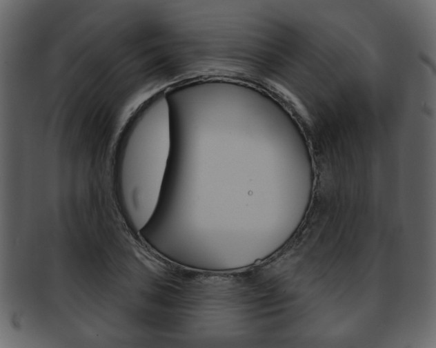 X0000093211027200709261421