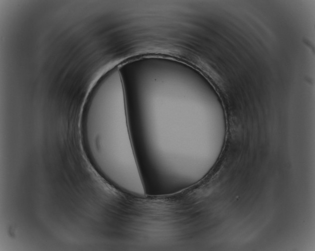 X0000093211028200709261421