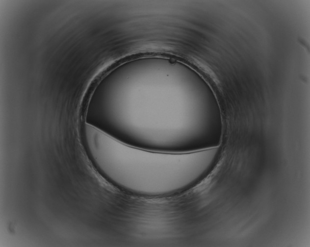 X0000093211029200709261421