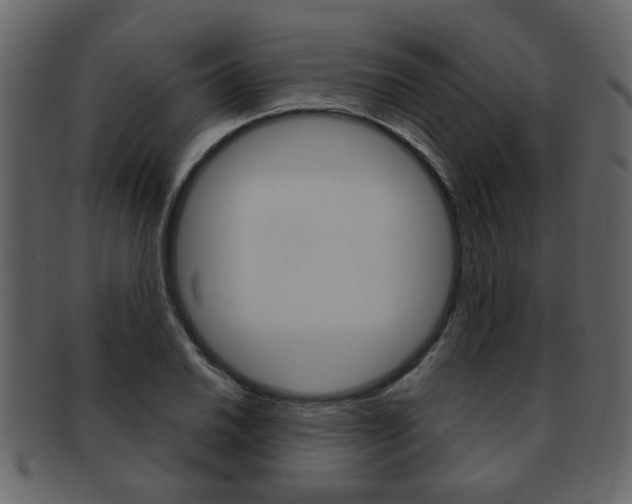 X0000093211030200709261421