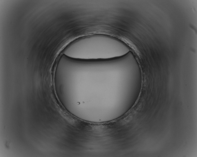 X0000093211031200709261421