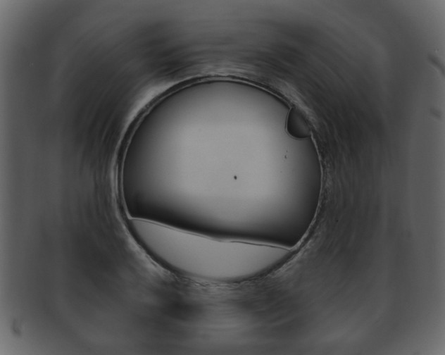 X0000093211032200709261421