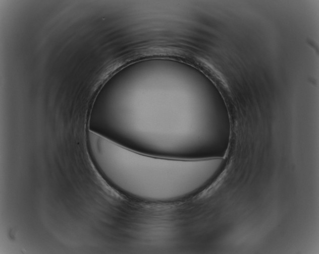 X0000093211033200709261421