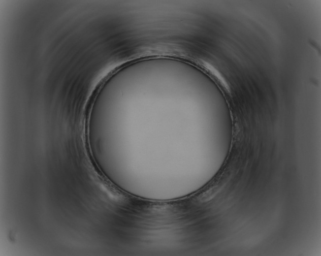 X0000093211035200709261421