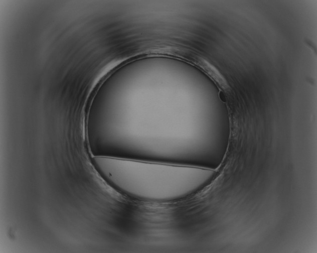 X0000093211036200709261421