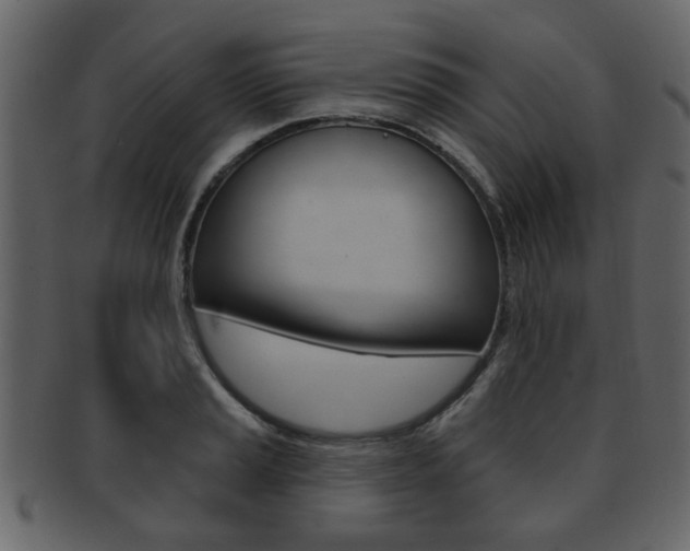 X0000093211037200709261421
