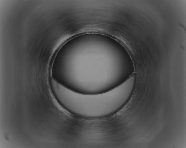 X0000093211038200709261421