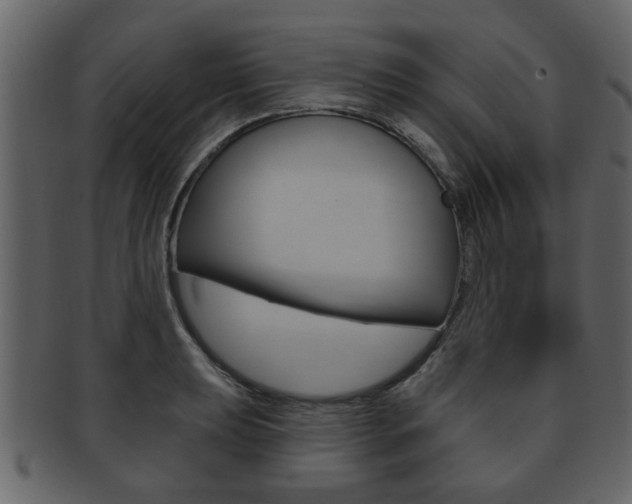 X0000093211039200709261421