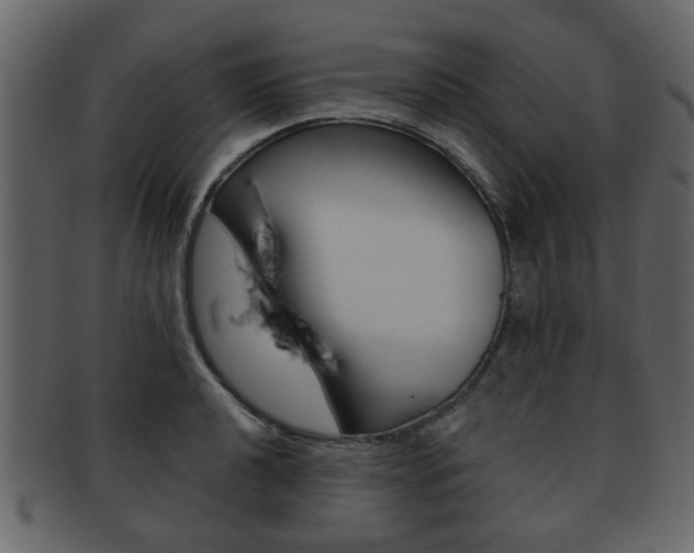 X0000093211040200709261421