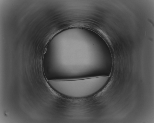 X0000093211041200709261421
