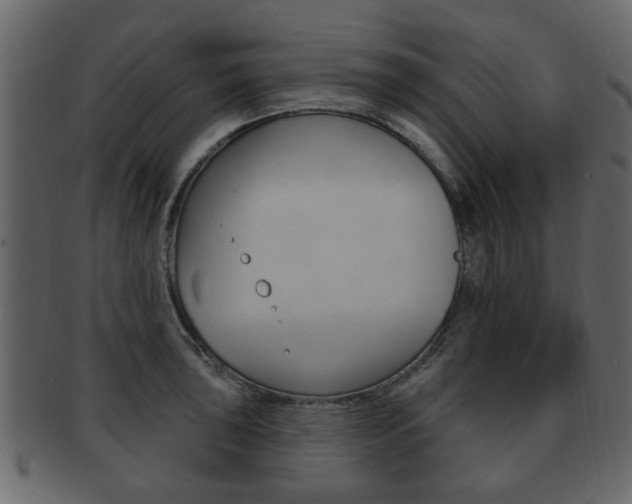 X0000093211043200709261421