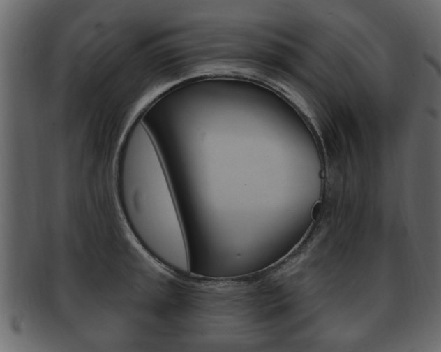 X0000093211045200709261421