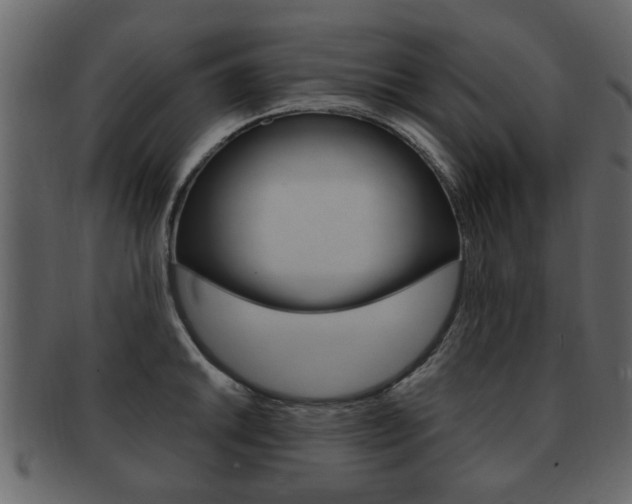 X0000093211046200709261421