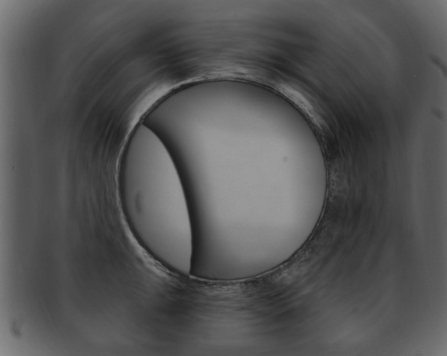 X0000093211047200709261421