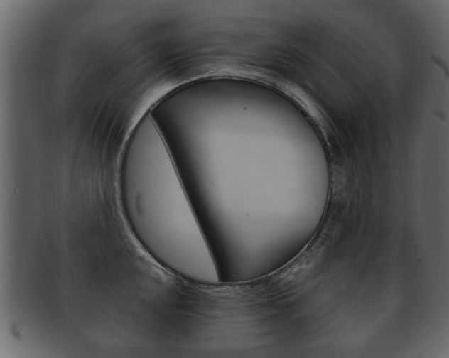 X0000093211048200709261421