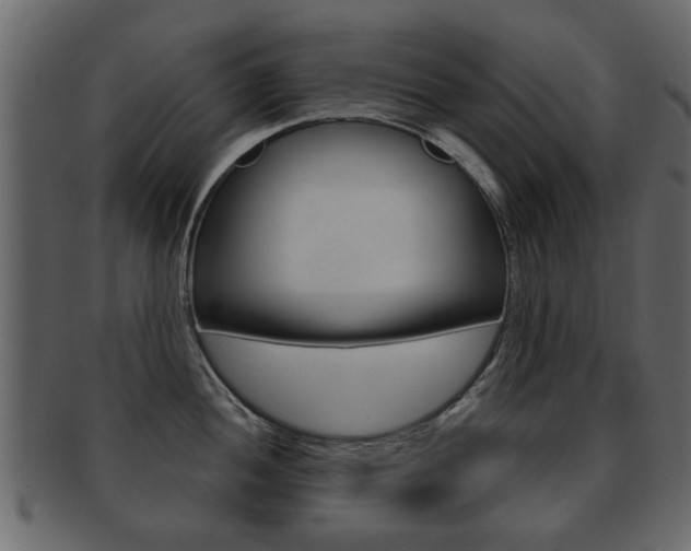 X0000093211052200709261421